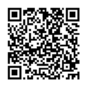 还有一大家子你们跑得比我都快这个时候还让我硬扛二维码生成