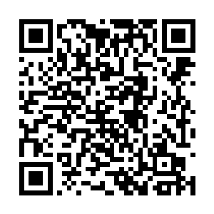 还有一套职业套装是她毕业时为了应聘而特意买的二维码生成