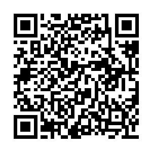 还有一本却是他命令大内侍卫副总管瑞栋寻来的二维码生成