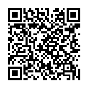 还有一种尾巴纤细长相仿佛猴子的妖兽不时过来抓伤一两条二维码生成