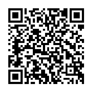 还有三个道门地仙并未加入五德共鸣……道门地仙都进入暗面二维码生成