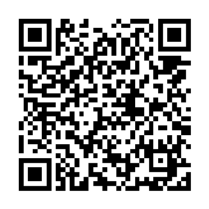 还有不少的骑士则整装待发的等在信息中心的服务台外二维码生成