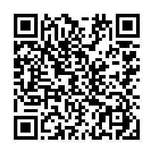 还有两万是将来还要找机会给齐洁老师所以不可以花的二维码生成