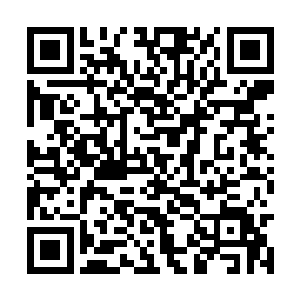 还有二十来名金莲修为的手下也分了差不多一万亿二维码生成