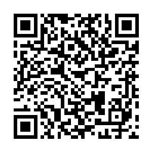 还有人在猜测或许是陆仲明夫妻两个在联手追逐秘藏真体二维码生成