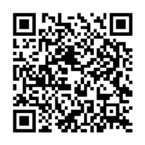 还有什么比得上在他家范围内再建立一个政权来得更妙二维码生成