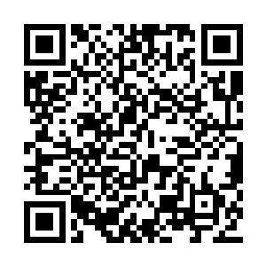 还有六个宗门的药田和灵田也出现了同样的问题二维码生成