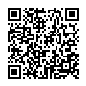 还有几个打激动了往前走了几步又被集火秒杀了二维码生成