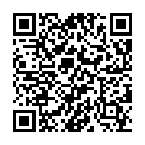 还有几名热情洋溢的女员工来引导介绍整个工作流程二维码生成