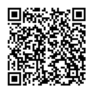 还有卤好的猪脸肉――要不我给姑爷装一碗丸子切一盘猪脸肉姑爷先垫垫肚子二维码生成