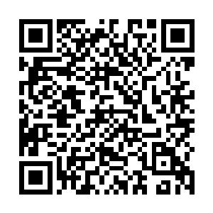 还有另外七个知道雷天即将来碧落宗商讨联盟事宜的人二维码生成