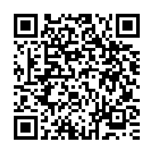 还有呆愣的没反应过来的也被旁边的同伴粗暴的拉扯着行了大礼二维码生成