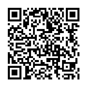 还有和他一起殴打千夜的大孩子们全都脸色惨白二维码生成