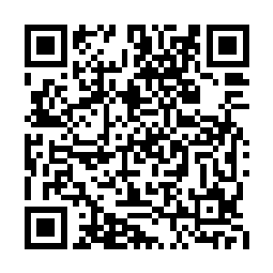 还有场地里面那只冰碧蝎的模型投影到雷林面前二维码生成