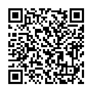 还有境界更加高深的那名魔族元老以及雪老城王公二维码生成