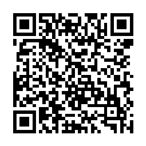 还有多种强力天赋随身的强者在迷雾森林中有多可怕二维码生成