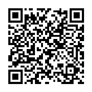 还有天文地志阴阳医算僧道技艺的资料都收集起来二维码生成