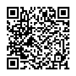 还有天极星地下避难所中互相依偎在一起的老人二维码生成