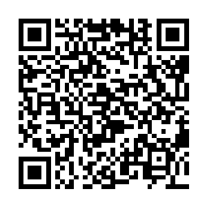 还有天目道宫依旧找到了圣美招式中最脆弱的那一点二维码生成