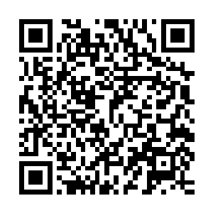 还有对家庭巨变不知所措的年幼弟弟和一只又大又友善的宠物狗二维码生成