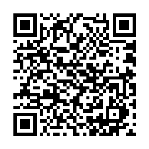 还有就是一直在利用曼德霍克之盘连接主物质位面二维码生成