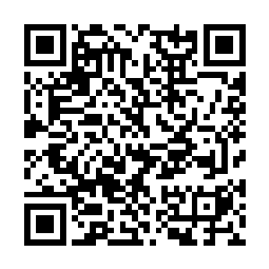 还有展示了小英雄林烽和美女记者周芸的危险暗访二维码生成