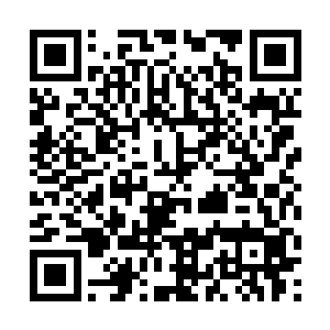 还有已经被夏天斩杀的第八角之外的冰尊王全都到了二维码生成