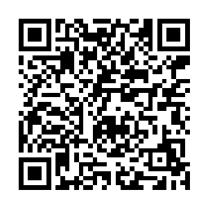 还有整个建筑的屋瓦房檐上零落或者成群得铺散着红枫叶二维码生成