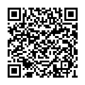 还有李雪诺和文森特就真的以为沙罗曼蛇变弱了二维码生成