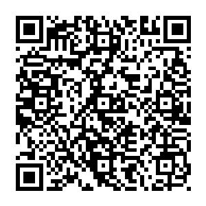 还有此刻留守在第一层洞天之中那六道天象之门外面的那些看着门户入口的几个骑士二维码生成
