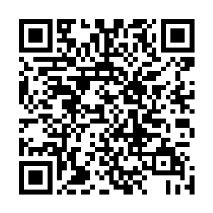 还有瑶瑶小妹妹……现在才这么小就已经如此的招人喜欢了二维码生成