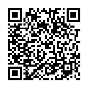 还有由北方赶来的道尊师尊一门所带领的护道者二维码生成