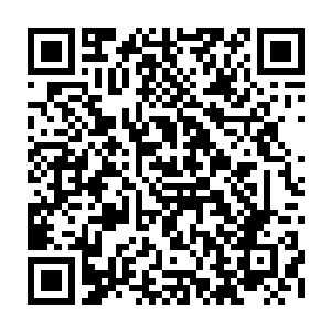 还有的人正在抱着从顺天府的唱片店和书店里搜集到的四大美人乐队和廖辽二维码生成