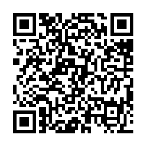 还有被剪成一丝一丝的布条乱七八糟地扔在地上和沙发上二维码生成