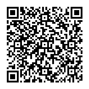 还有身体内流动的血液与胃袋中翻涌的胃酸都清晰的以不同的色温的状态呈现在张铁的眼中二维码生成