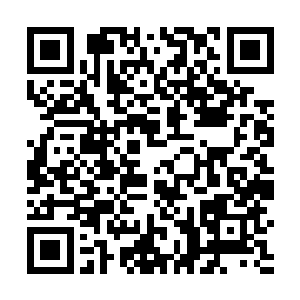 还有那个和琼奎他们组队的时候碰到的那个世家的女子二维码生成