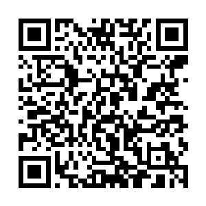 还有那些乱糟糟围停在路边的车辆跟到处都有的武警二维码生成