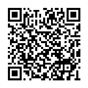 还有那些已经勉强登岸的人全都慢慢的转过身去二维码生成