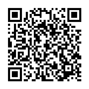 还有那些自以为有几个钱就能买到一切的家伙来骚扰二维码生成