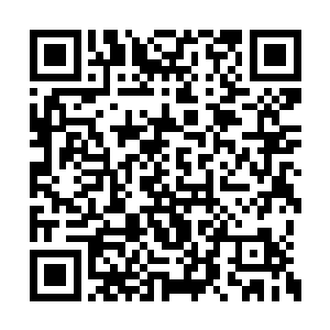 还有那些跃跃欲试的医生和护士也都停止了动作二维码生成
