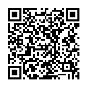 还有那只蝗虫……该把属于安泽地的力量归还给我们了二维码生成