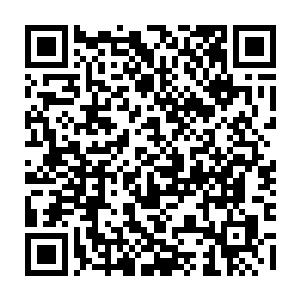 还有那明显的骨骼断裂的声音……甚至还可以看到秦方的拳头直透裂风狼的身躯二维码生成