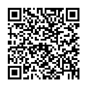 还有阳泽城れ李百宇这些硬骨头虽然不愿认我们当老大二维码生成
