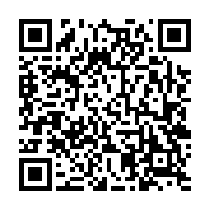 还有龙骨武器和龙族身上宝物炼制出来的武器一共三万件二维码生成