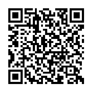 还未开演确定的主角高鸣就因为意外躺在了医院二维码生成