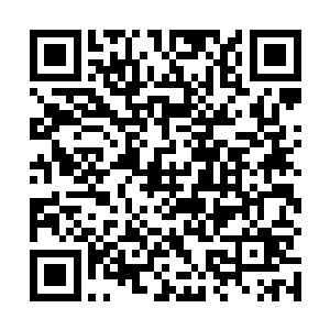 还未必能够做到如此从容的应对一个大主宰强者的猛攻二维码生成
