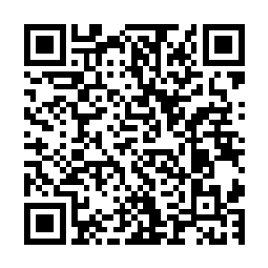 还没人知道我的两个师傅其实握有能够将记忆植入灵魂的办法二维码生成