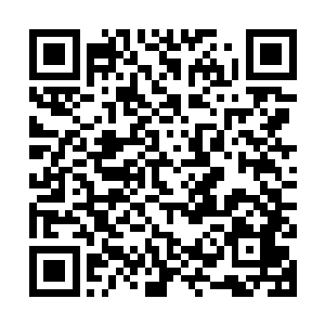还没有等安老道说完武老道就打断了这位的话转头对着贝海问道二维码生成