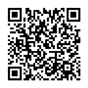 还没来得及把整个地炎峰方圆千里范围搜索一遍二维码生成