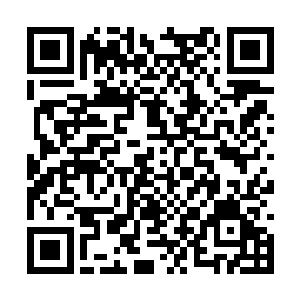 还点了好几瓶他们店里面最贵的三百块一瓶的好酒二维码生成